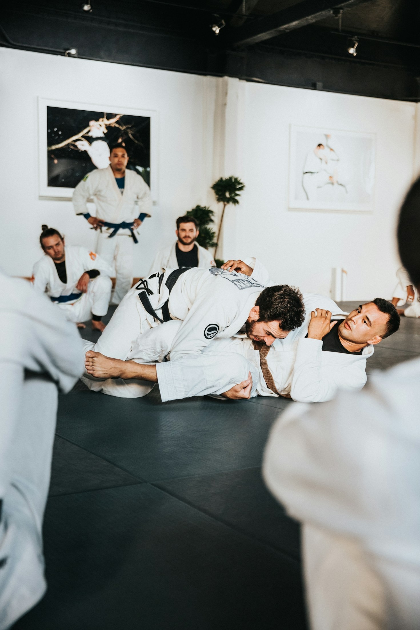 Connecting Globally: The Best BJJ Gyms Abroad